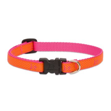   Lupine Club Collection Sunset Orange Adjustable Collar 1,25 cm width 26-40 cm -  For Small Dogs