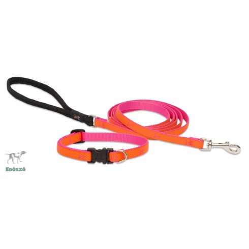 Lupine Club Collection Sunset Orange Adjustable Collar 1,25 cm width 26-40 cm -  For Small Dogs
