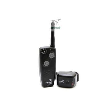 DT Systems CC360 professionellste Ferntrainer