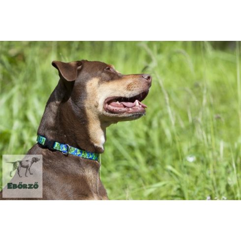 Lupine Original Collection Earth Day Adjustable Collar 1,9 cm width 34-55 cm -  For the widest range of dog sizes