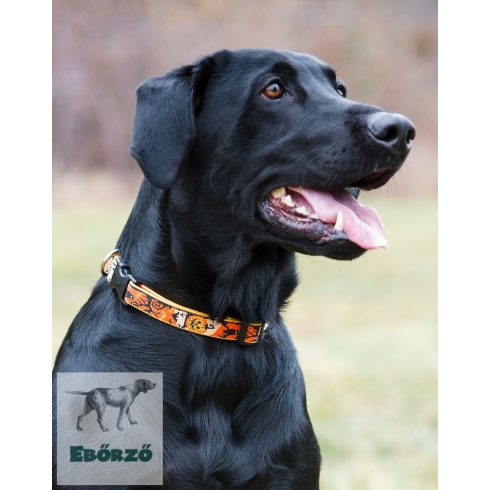 Lupine Original Collection Spooky Adjustable Collar 1,9 cm width 34-55 cm -  For the widest range of dog sizes