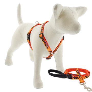   Lupine Original Collection Lucky Dragon Roman Harness  1,9 cm width 31-50 cm -  For the widest range is dog sizes