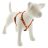   Lupine Original Collection Lucky Dragon Roman Harness  1,9 cm width 31-50 cm -  For the widest range is dog sizes
