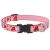 Lupine Original Collection Lovable Gnomes Adjustable Collar 1,9 cm width 34-55 cm -  For the widest range of dog sizes