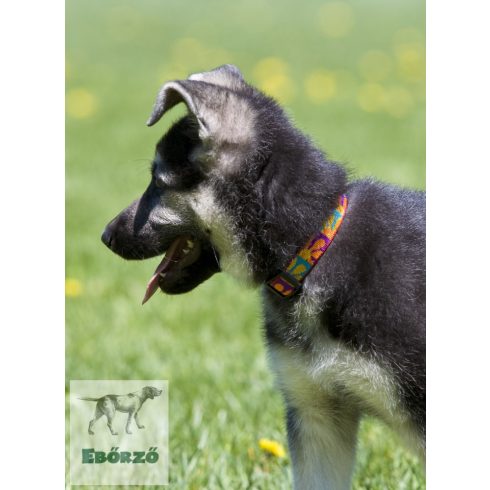 Lupine Original Collection Crazy Daisy Adjustable Collar 1,9 cm width 34-55 cm -  For the widest range of dog sizes
