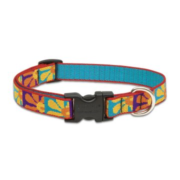   Lupine Original Collection Crazy Daisy Adjustable Collar 1,9 cm width 39-63 cm -  For the widest range of dog sizes