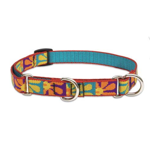 Lupine Original Collection Crazy Daisy Martingale Training Collar 1,9 cm width 36-51 cm -  For Medium Dogs