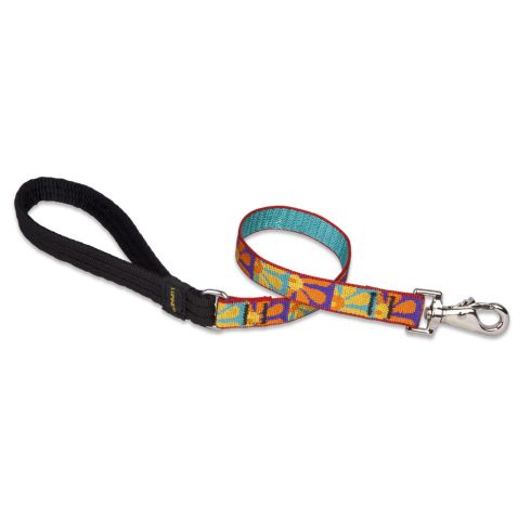 Lupine Original Designs Crazy Daisy Padded Handle Leash 1,9 cm width 61 cm - For widest range is dog sizes