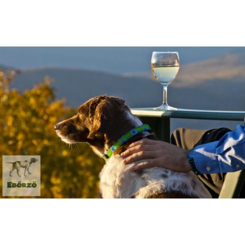 Lupine Original Collection Tail Feathers Adjustable Collar 1,9 cm width 34-55 cm -  For the widest range of dog sizes