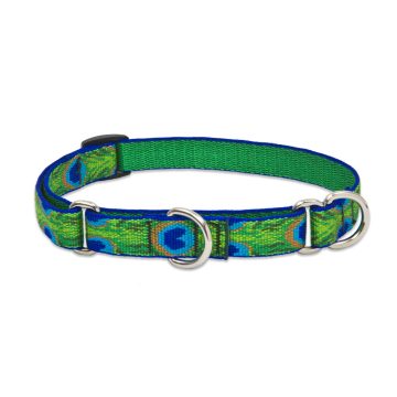   Lupine Original Collection Tail Feathers Martingale Training Collar 1,9 cm width 36-51 cm -  For Medium Dogs
