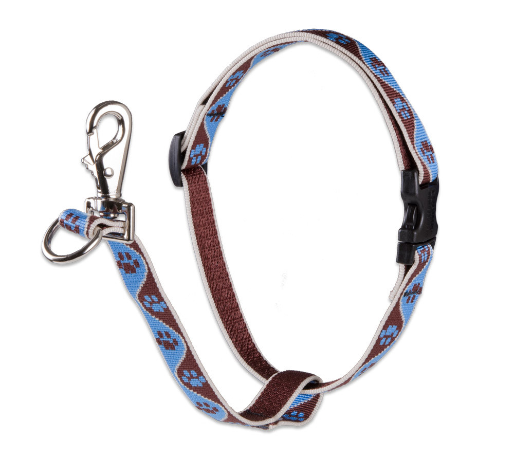 Lupine no best sale pull training harness