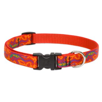   Lupine Original Collection Go Go Gecko Adjustable Collar 1,9 cm width 23-35 cm -  For the widest range of dog sizes