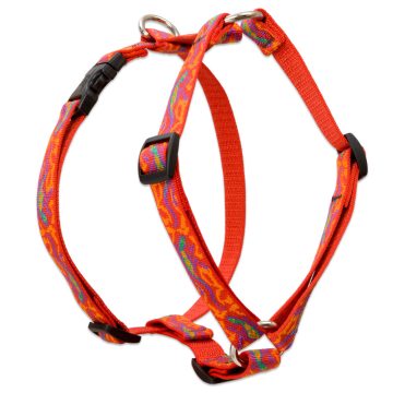   Lupine Original Collection Go Go Gecko Roman Harness  1,9 cm width 51-81 cm -  For the widest range is dog sizes