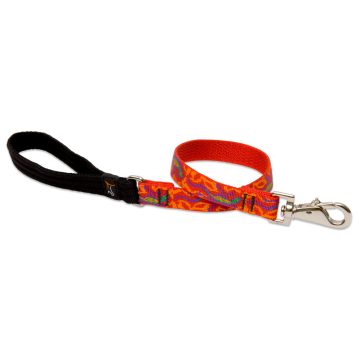   Lupine Original Designs Go Go Gecko Padded Handle Leash 1,9 cm width 61 cm - For widest range is dog sizes