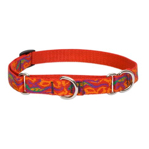 Lupine Original Collection Go Go Gecko Martingale Training Collar 1,9 cm width 36-51 cm -  For Medium Dogs