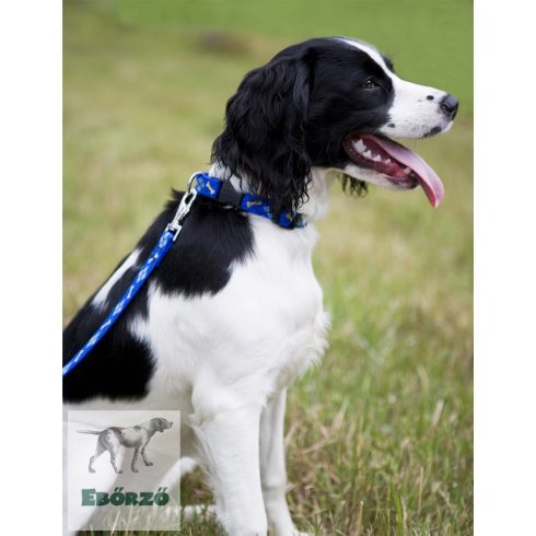 Lupine Original Collection Dapper Dog Adjustable Collar 1,9 cm width 34-55 cm -  For the widest range of dog sizes