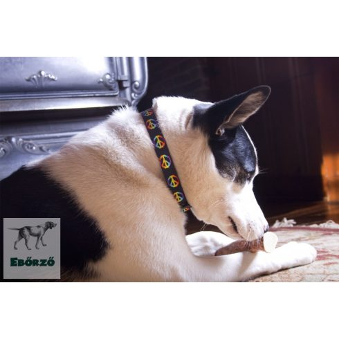 Lupine Original Collection Woofstock Adjustable Collar 1,9 cm width 23-35 cm -  For the widest range of dog sizes