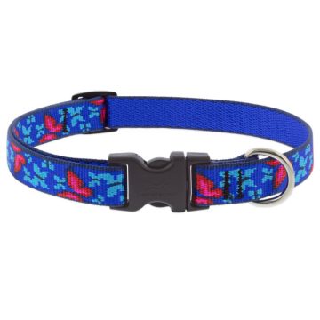   Lupine Original Collection Social Butterfly Adjustable Collar 1,9 cm width 23-35 cm -  For the widest range of dog sizes