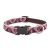 Lupine Original Collection Tickled Pink Adjustable Collar 1,9 cm width 23-35 cm -  For the widest range of dog sizes