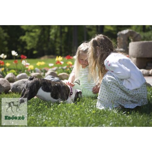 LUPINE póráz (Tickled Pink 1,9 cm széles 183 cm)