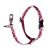 Lupine Original Collection Tickled Pink No Pull Training Harness 1,9 cm width  36-60 cm - For small and medium dogs