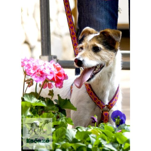 Lupine Original Collection Heart 2 Heart Adjustable Collar 1,9 cm width 34-55 cm -  For the widest range of dog sizes