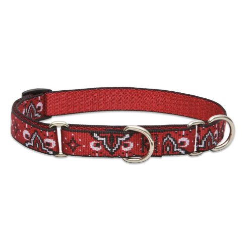 Lupine Original Collection Wild West Martingale Training Collar 1,9 cm width 36-51 cm -  For Medium Dogs