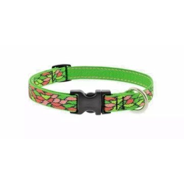   Lupine Original Collection Tiffany Adjustable Collar 1,9 cm width 34-55 cm -  For the widest range of dog sizes