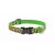 Lupine Microbatch Collection Tiffany Adjustable Collar 1,9 cm width 39-63 cm -  For the widest range of dog sizes