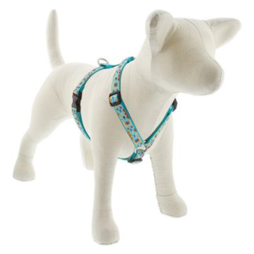   Lupine Original Collection Mama Llama Roman Harness  1,9 cm width 31-50 cm -  For the widest range is dog sizes