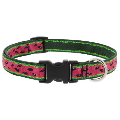 Lupine Microbatch Collection Watermelon Adjustable Collar 1,9 cm width 34-55 cm -  For the widest range of dog sizes