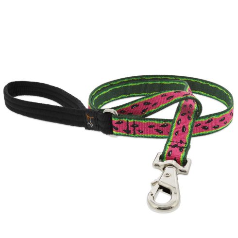 Lupine Microbatch Collection Watermelon Padded Handle Leash 1,9 cm width 122 cm - For widest range is dog sizes