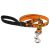 Lupine Microbatch Collection Wicked Padded Handle Leash 1,9 cm width 122 cm - For widest range is dog sizes
