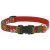 Lupine Original Collection Stocking Stuffer Adjustable Collar 1,9 cm width 23-35 cm -  For the widest range of dog sizes
