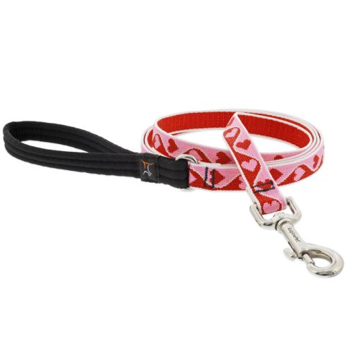 Lupine Microbatch Collection Sweetheart Padded Handle Leash 1,9 cm width 122 cm - For widest range is dog sizes