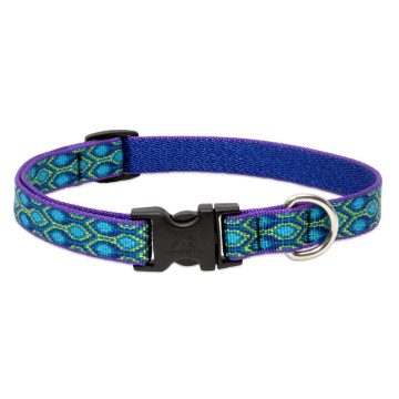   Lupine Original Collection Rain Song Adjustable Collar 1,9 cm width 39-63 cm -  For the widest range of dog sizes