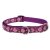 Lupine Combo Halsband (Rose Garden 1,9 cm breit 36-51 cm)