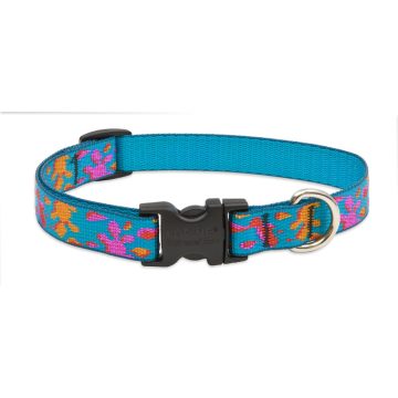   Lupine Original Collection Wet Paint Adjustable Collar 1,9 cm width 34-55 cm -  For the widest range of dog sizes