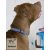 Lupine Original Collection Wet Paint Adjustable Collar 1,9 cm width 34-55 cm -  For the widest range of dog sizes