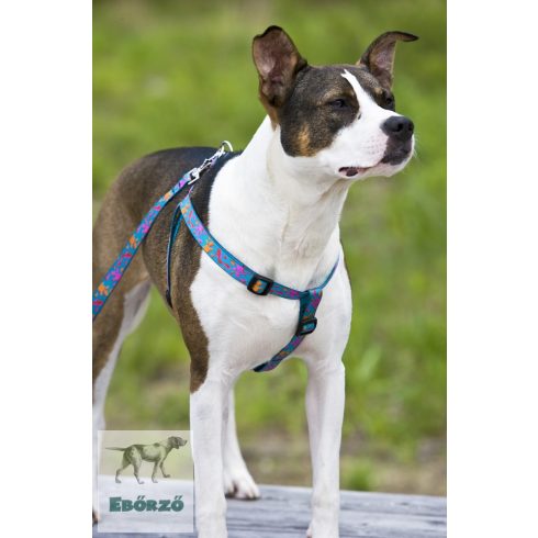 Lupine Original Designs Wet Paint Padded Handle Leash 1,9 cm width 183 cm - For widest range is dog sizes