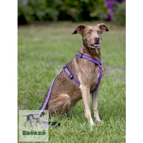 Lupine Roman hám (Jelly Roll 1,9 cm széles  36-60 cm)