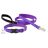   Lupine Original Collection Jelly Roll Adjustable Collar 1,9 cm width 39-63 cm -  For the widest range of dog sizes