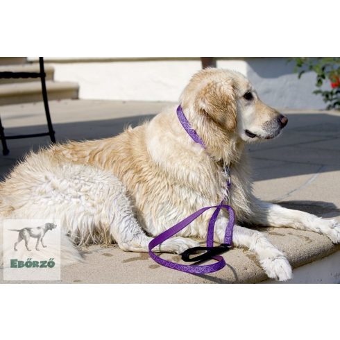 Lupine Félfojtó nyakörv (Jelly Roll 1,9 cm széles 36-51 cm)