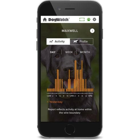 Dogwatch® Smart Fence®  láthatatlan elektromos kutyakerítés 