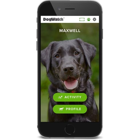 Dogwatch® Smart Fence®  láthatatlan elektromos kutyakerítés 