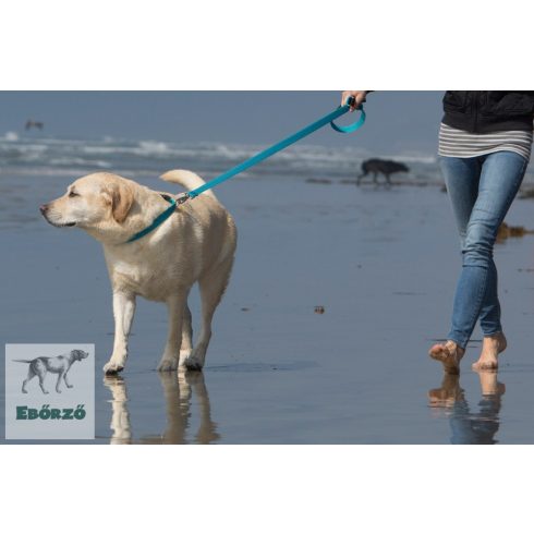 Lupine ECO Collection Tropical Sea Padded Handle Leash 2,5 cm width 122 cm - For medium and larger dogs