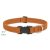 Lupine ECO Collection Pumpkin Adjustable Collar 2,5 cm width 41-71 cm -  For Medium and Larger Dogs