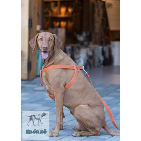 Lupine Step-in hám (ECO Pumpkin 2,5 cm széles  61-96 cm)