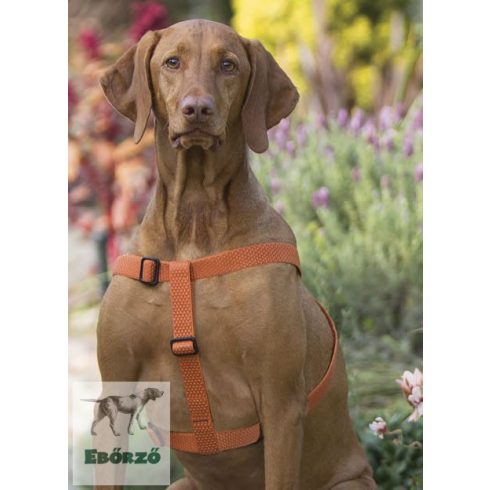 Lupine Step-in hám (ECO Pumpkin 2,5 cm széles  61-96 cm)