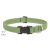 Lupine ECO Collection Moss Adjustable Collar 2,5 cm width 31-50 cm -  For Medium and Larger Dogs